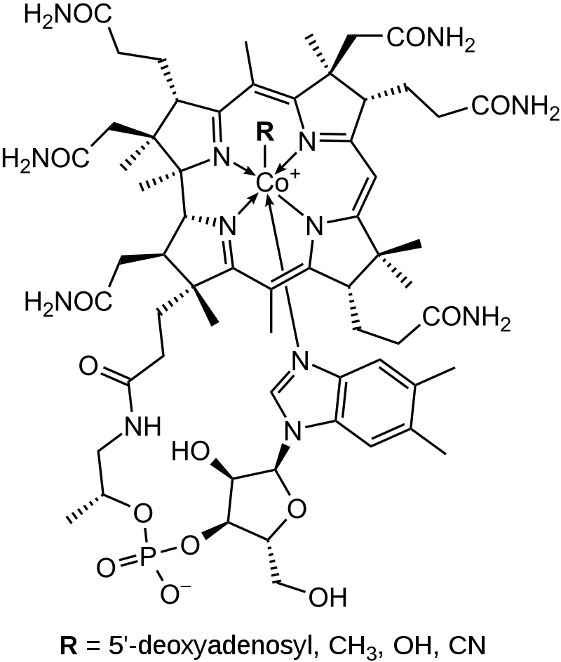 Estructura química de la vitamina B12 (cobalamina).