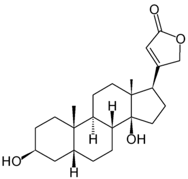 Digitoxygenina
