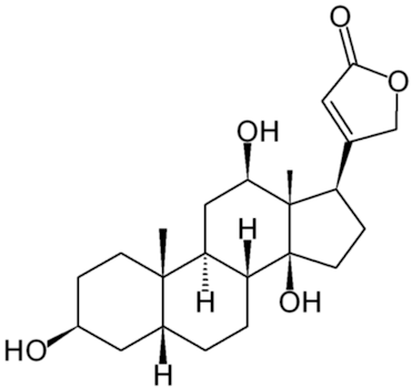 Digoxygenina