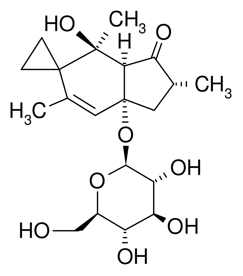Estructura 2D del ptaquilósido