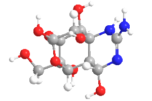 Tetrodotoxina
