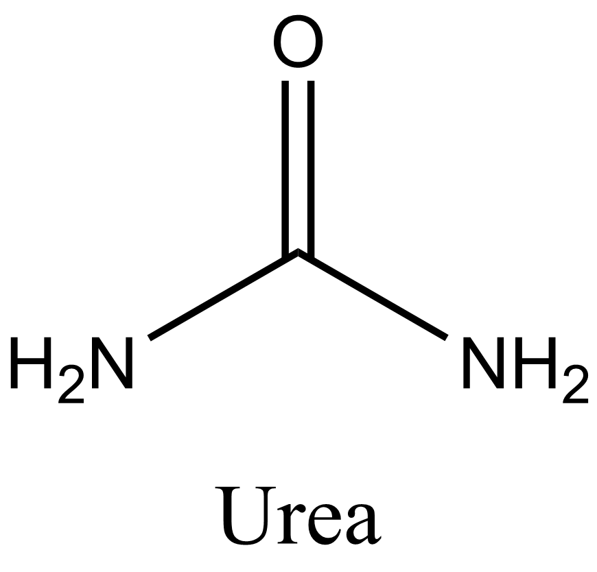 Estructura de la urea