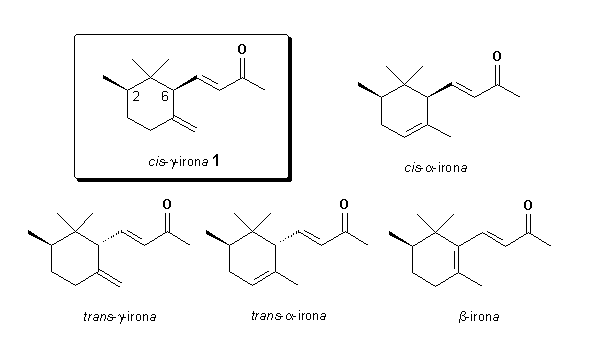 Estructuras de varias ironas