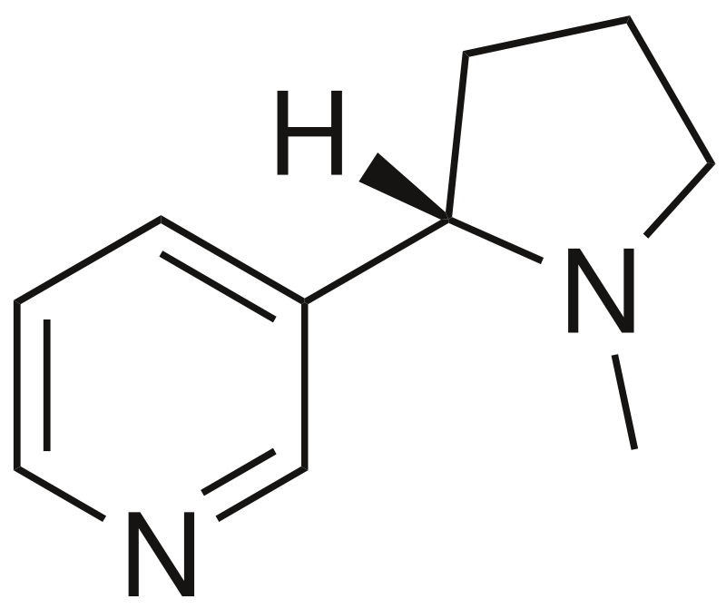 Estructura 2D de la nicotina