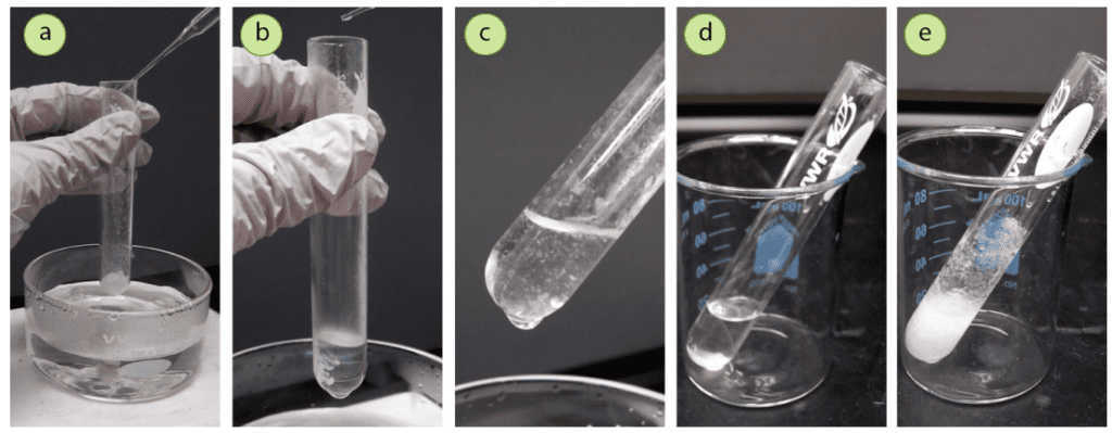 Figura 9: a) Adición de metanol (disolvente soluble) al ácido trans-cinámico, b) Adición de agua (disolvente insoluble) a la solución, c) Nubosidad sostenida/cristales finos después de añadir suficiente agua, d) Tubo apartado para enfriar después de añadir unas gotas de metanol para clarificar la solución, e) El retorno de los cristales después de enfriar.