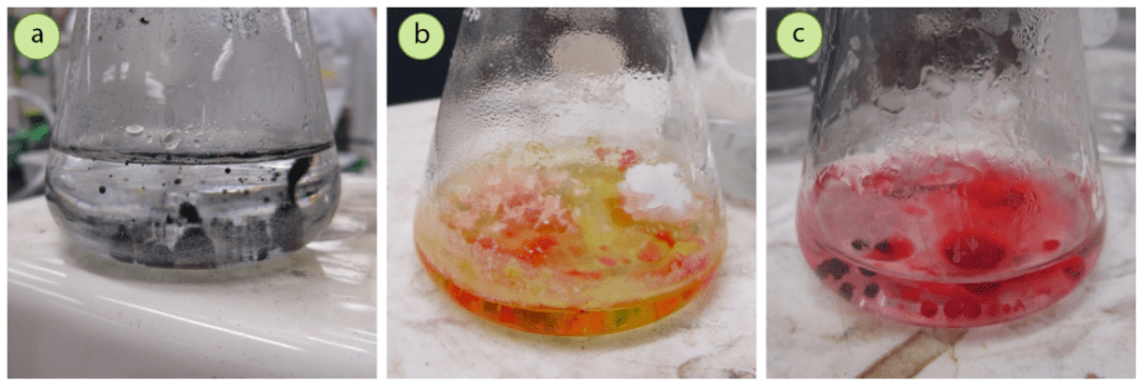 Figura 4: Ejemplos de muestras que se "aceitan" durante la disolución: a) Gotas aceitosas de acetanilida en una solución decolorada con carbón vegetal, b+c) Gotas aceitosas que contienen rojo de metilo y acetanilida en agua.