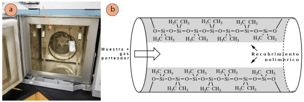 Figura 1: a) Equipo de cromatografía abierto para mostrar el horno y la columna: la columna de vidrio se indica con una flecha, y parece una fina bobina de cobre, b) Esquema del revestimiento interior de dimetilpolisiloxano de una columna de cromatografía.
