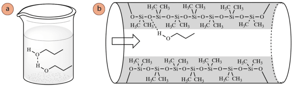 Figura 2: a) Enlace de hidrógeno mostrado para el 1-propanol en la fase líquida, b) Enlace de hidrógeno mostrado entre el 1-propanol y el revestimiento polimérico de la columna de cromatografía.