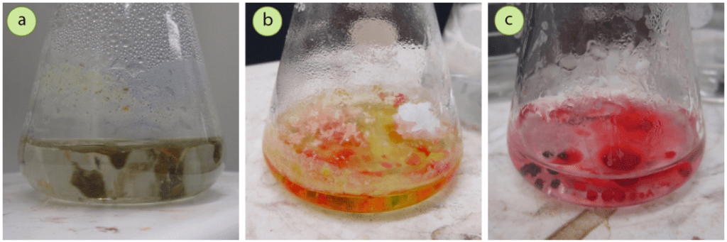 Figura 4: Ejemplos de una muestra que se "engrasa" durante el proceso de calentamiento (cuyo aspecto sería similar a medida que la muestra se enfría): a) Gotas aceitosas en un sólido crudo de acetanilida bronceada, b+c) Gotas aceitosas que contienen rojo de metilo y acetanilida en agua.