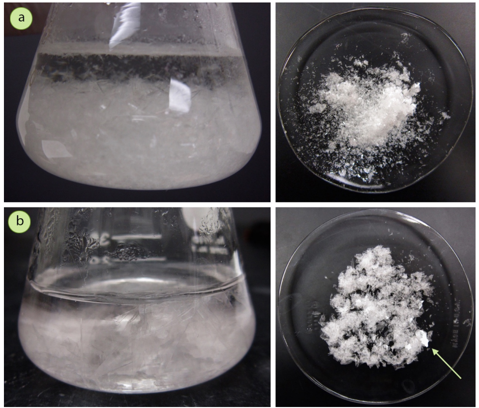 Figura 2: a) Estos cristales de acetanilida formados a partir de agua son perfectamente aceptables, pero pequeños, b) Estos cristales de acetanilida crecieron mucho más lentamente, y son más grandes (nótese el cristal indicado con la flecha).