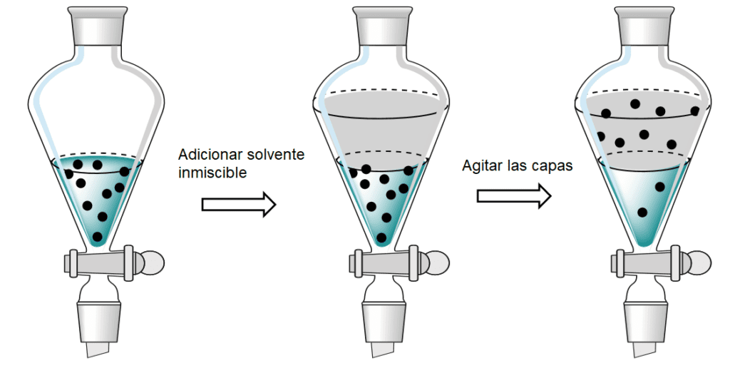 Figura 1: Esquema de la extracción