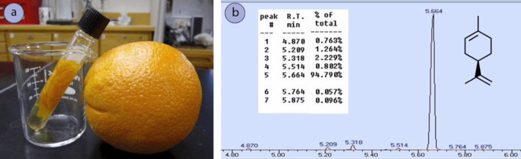 Figura 2: a) Corteza de naranja extraída en diclorometano, b) Espectro de cromatografía del aceite de naranja.