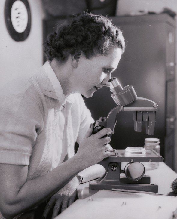 La bióloga marina y conservacionista Rachel Carson, hacia 1962.