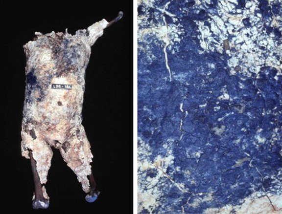 Detalle de la adipocira encontrada en Brienzi, publicado en (Thali et al., 2011)