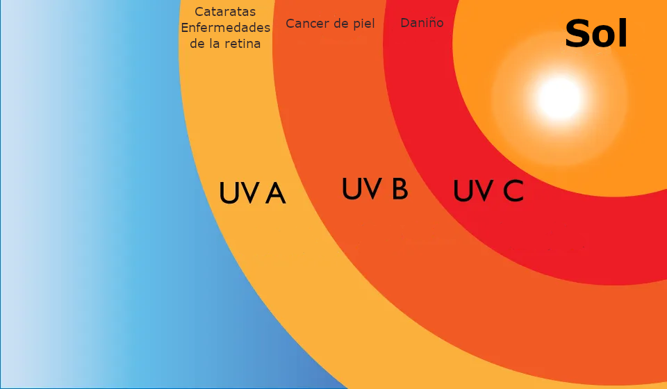 Esquema de daño producido por diferentes intensidades de radiación UV
