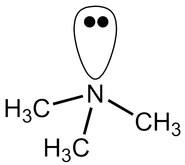 Estructura 2D de la trimetilamina