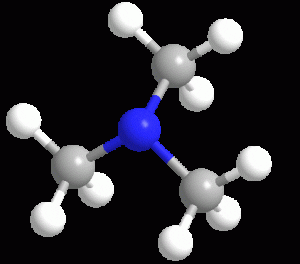 Trimetilamina