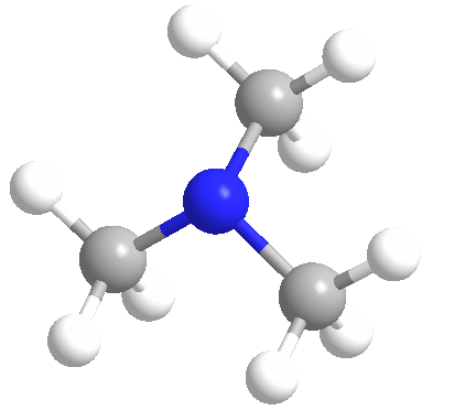 Trimetilamina