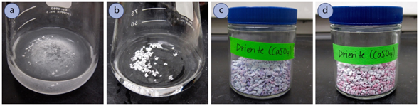 Figura 2: a) Solución de acetato de etilo que contiene partículas finas de MgSO4 anhidro, b) Acetato de etilo con hidrato de MgSO4 aglomerado, c) Drierita seca (azul), d) Drierita húmeda (rosa)