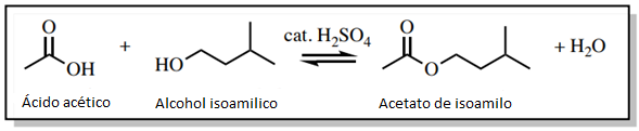 Figura 1: Esquema de reacción para la síntesis de acetato de isoamilo.