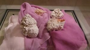 Muestra recreada de tela teñida con Purpura de Tiro y concha de los moluscos de los cuales se extraía