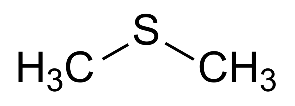 Estructura 2D del sulfuro de dimetilo