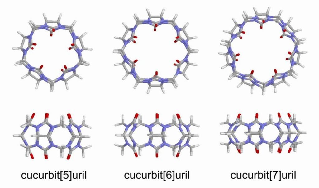 Modelos inform&aacute;ticos de CB[5], CB[6] y CB[7]. La fila superior es la vista del interior de la cavidad y la inferior es la vista lateral