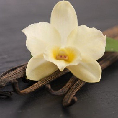 Hoja y flor de la vainilla, fuente natural de la vanilina
