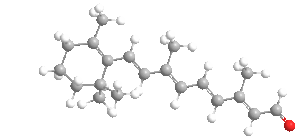 Retinal