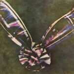 La primera fotografía en color realizada por el método de los tres colores sugerido por James Clerk Maxwell en 1855, tomada en 1861 por Thomas Sutton. El sujeto es una cinta de color, normalmente descrita como una cinta de tartán.
