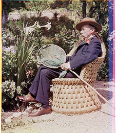 Fotografía a color II