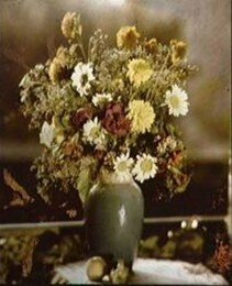 Una fotografía en color realizada por Lippmann en la década de 1890. No contiene pigmentos ni tintes de ningún tipo.