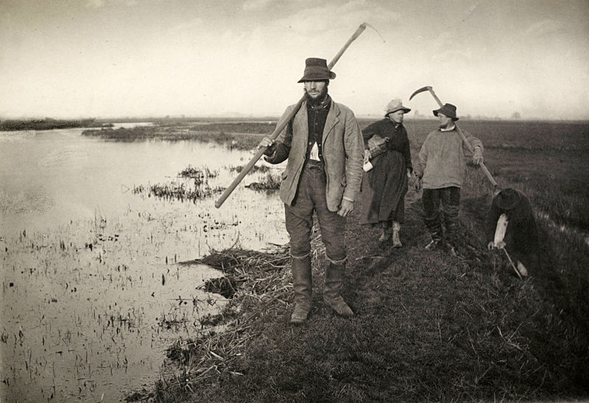 Coming Home from the Marshes, impresión en platino de Peter Henry Emerson, 1886
