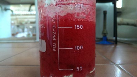 Muestra del complejo de DMG con Ni