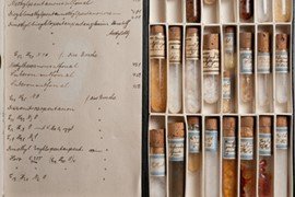 Colección de terpenos de Wallach. Museum der Göttinger Chemie