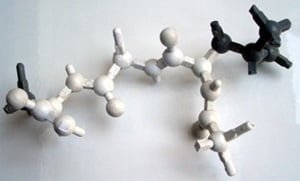 odelo Nicholson, que muestra una parte corta del esqueleto de la proteína (blanco) con cadenas laterales (gris). Obsérvense los trozos recortados que representan átomos de hidrógeno.
