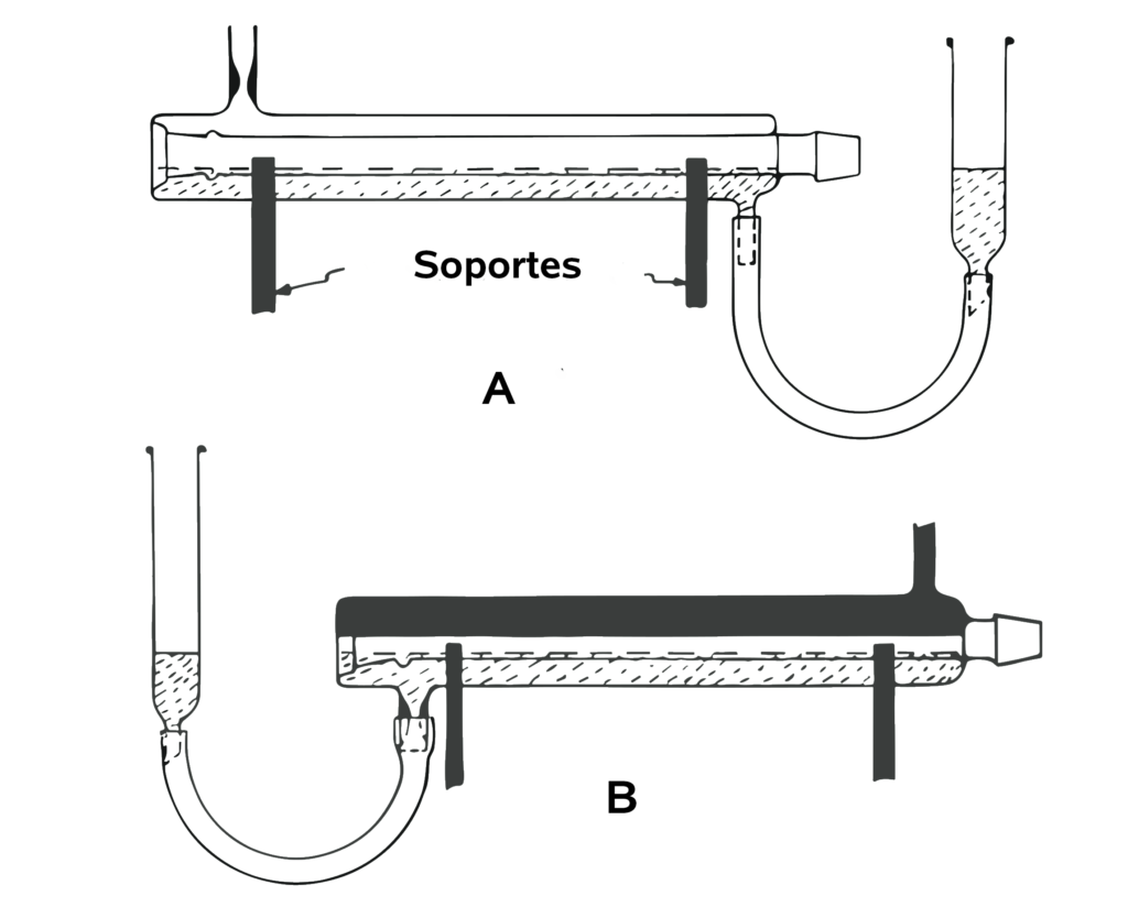 Figura 1