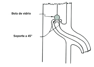 Figura 2. Válvulas de retención de vidrio sobre vástagos.