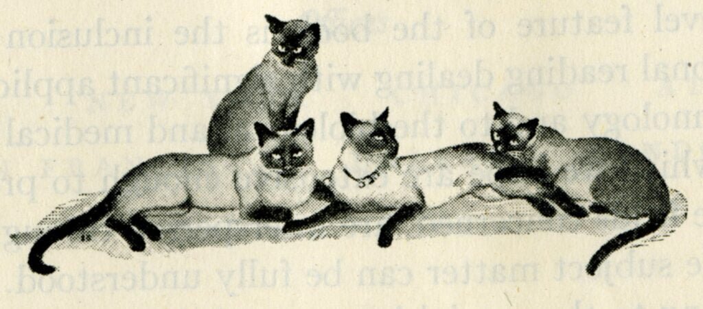 Una de las muchas ilustraciones caprichosas de los gatos de Fieser que se incluían en sus libros de texto. De Louis F. Fieser y Mary Fieser, "Organic Chemistry", 1ª ed. (Boston: D. C. Heath, 1944)