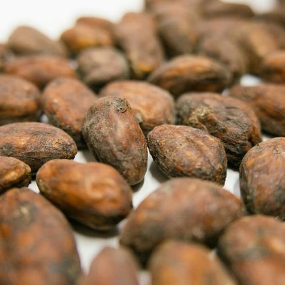 Granos de Theobroma cacao