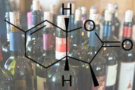Lactona de Vino
