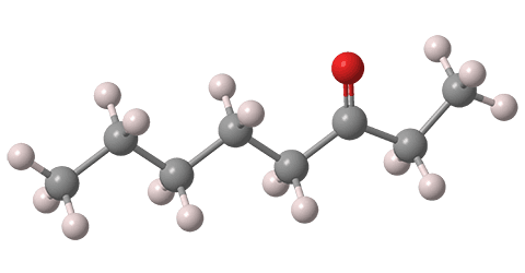 Estructura de octanona