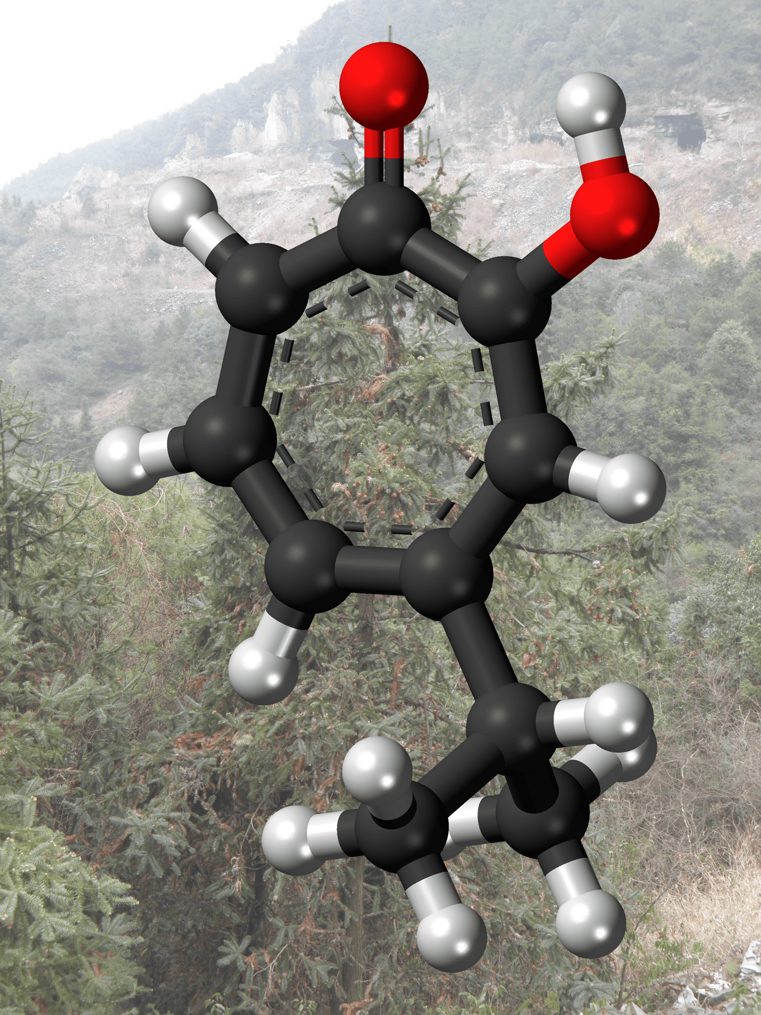 Hinokitiol