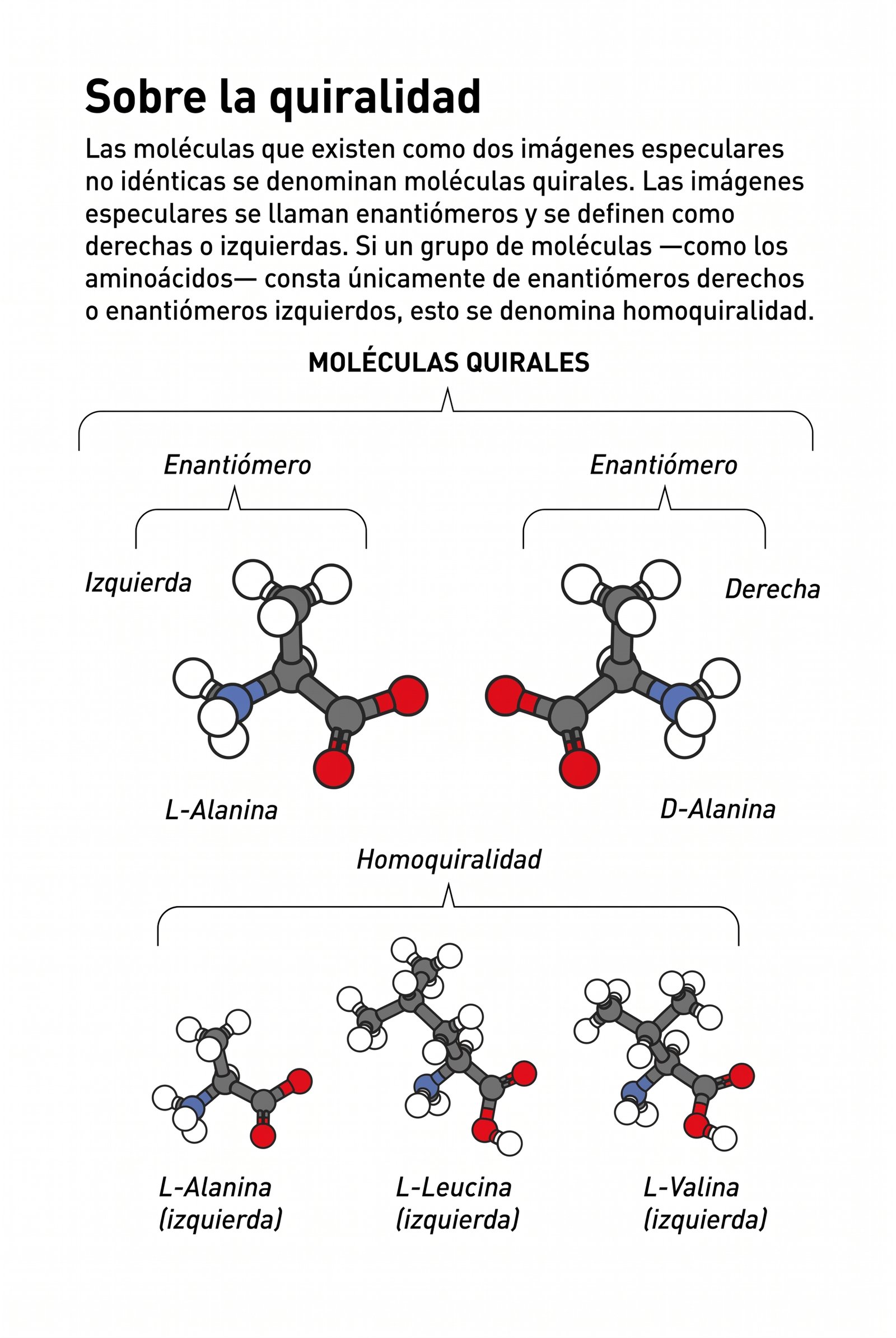En la catálisis asimétrica, un catalizador quiral (ion metálico + ligando quiral) favorece la formación de uno de los enantiómeros del producto. Ilustración: © Johan Jarnestad / The Royal Swedish Academy of Sciences.