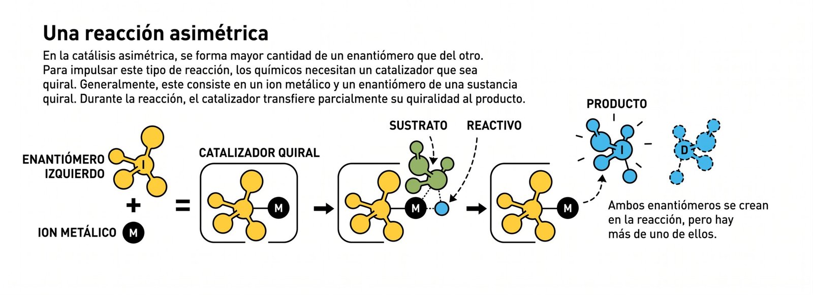 El razonamiento de Kagan: el catalizador mixto (izquierdo-derecho) es poco activo y "secuestra" al enantiómero minoritario, lo que amplifica la asimetría. Ilustración: © Johan Jarnestad / The Royal Swedish Academy of Sciences.